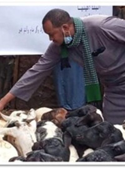 Qurbani (Sacrificial Meat) Distribution qurbaani