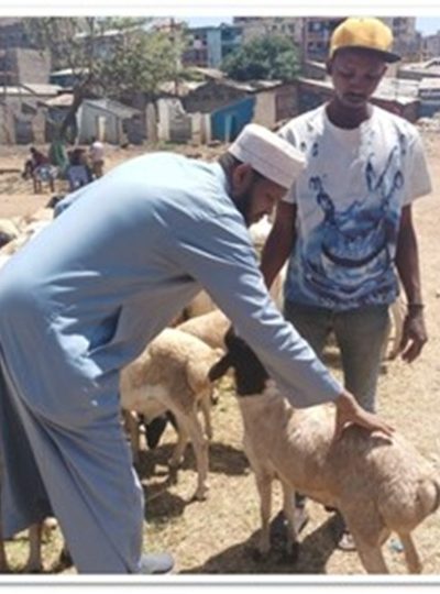 Qurbani (Sacrificial Meat) Distribution qurbaani2