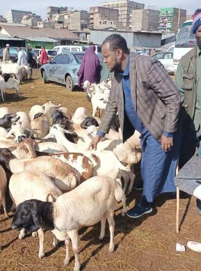 Qurbani (Sacrificial Meat) Distribution qurbani 3