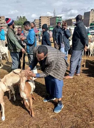Qurbani (Sacrificial Meat) Distribution qurbani 5