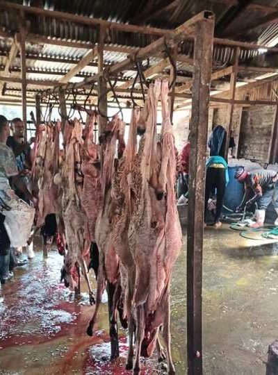 Qurbani (Sacrificial Meat) Distribution qurbani 6